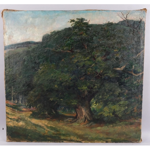 515 - Wilhelm Ritterbach (born 1878), the oak tree, oil on canvas, signed, 80cm x 80cm, unframed