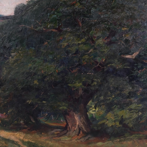 515 - Wilhelm Ritterbach (born 1878), the oak tree, oil on canvas, signed, 80cm x 80cm, unframed