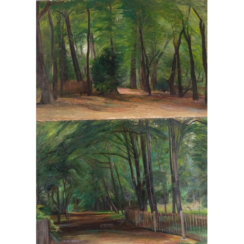 516 - James Stroudley (1906 - 1988), trees in Holland Park, oils on board, 51cm x 76cm, unframed (4)