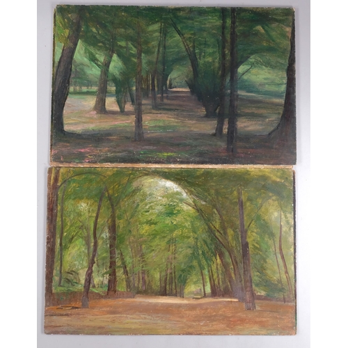 516 - James Stroudley (1906 - 1988), trees in Holland Park, oils on board, 51cm x 76cm, unframed (4)