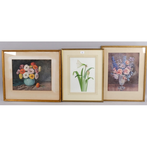 519 - Fiona Bell Currie, study of amaryllis, signed and dated 1982, 35cm x 25cm, together with 2 other sti... 