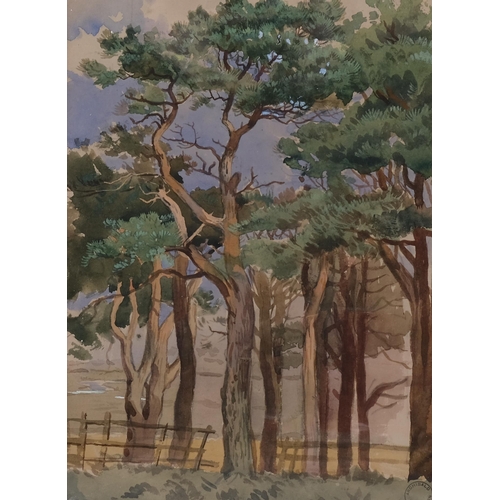 530 - Archibald Thorburn (1860 - 1935), Scots Pines, watercolour, signed with artist's stamp, 34cm x 25cm,... 