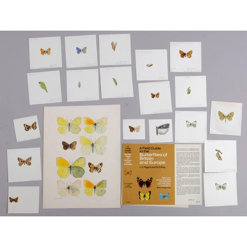 559 - Brian Hargreaves (1935 - 2011), collection of miniature highly detailed butterfly drawings and water... 