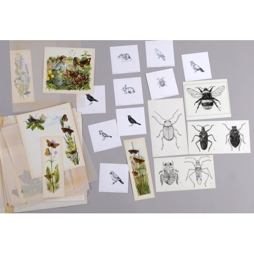 560 - Brian Hargreaves (1935 - 2011), quantity of watercolour studies for butterfly and insect pests disea... 