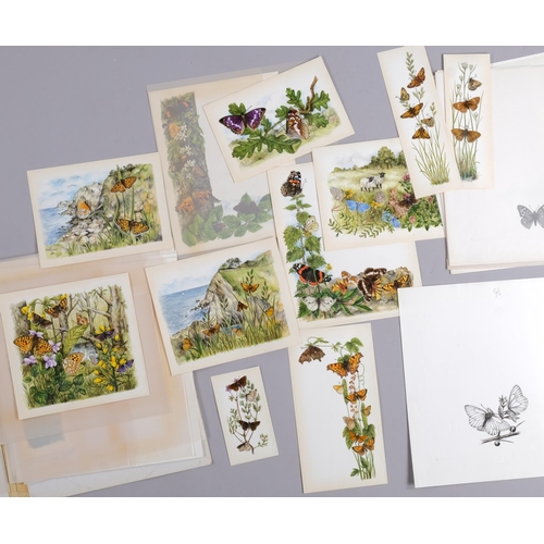 560 - Brian Hargreaves (1935 - 2011), quantity of watercolour studies for butterfly and insect pests disea... 