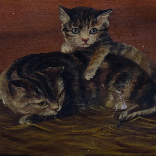 612 - Manner of Bessie Bamber, study of 4 kittens, oil on wood panel, unsigned, 22cm x 53cm, unframed