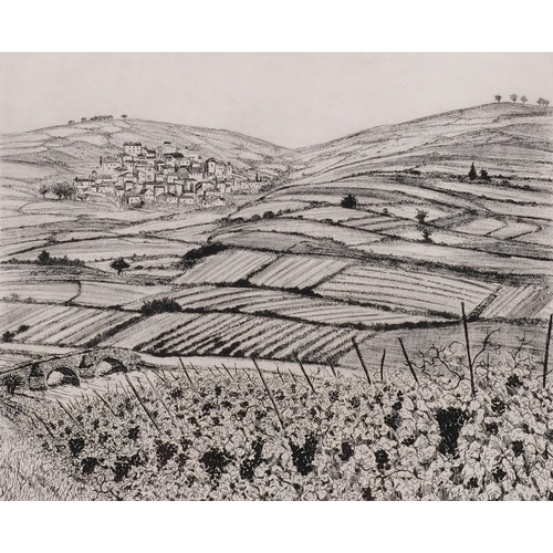 638 - Francis Kelly, vineyard, artist's proof, etching, signed in pencil, plate 24cm x 29cm, unframed