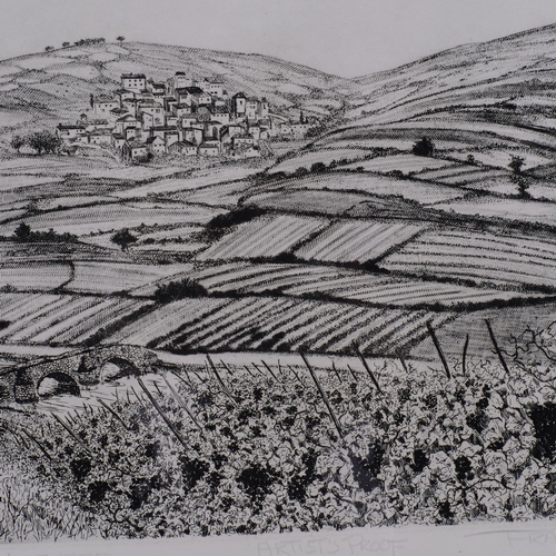 638 - Francis Kelly, vineyard, artist's proof, etching, signed in pencil, plate 24cm x 29cm, unframed