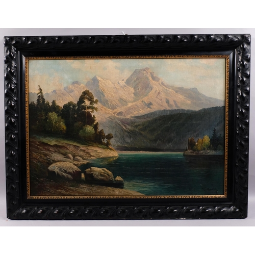 686 - M Schlensing, large mountain landscape, oil on canvas, circa 1900, signed, 71cm x 101cm, framed