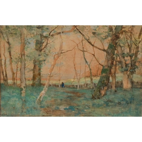 696 - De Bock, woodland scene, watercolour, signed, 34cm x 50cm, framed