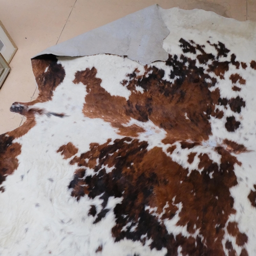 382 - A large cowhide, W230cm x 220cm approx