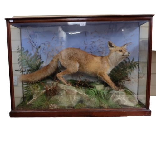 219 - TAXIDERMY - a fox on a naturalistic rock and fern setting, mounted in a glazed case, case width 107c... 