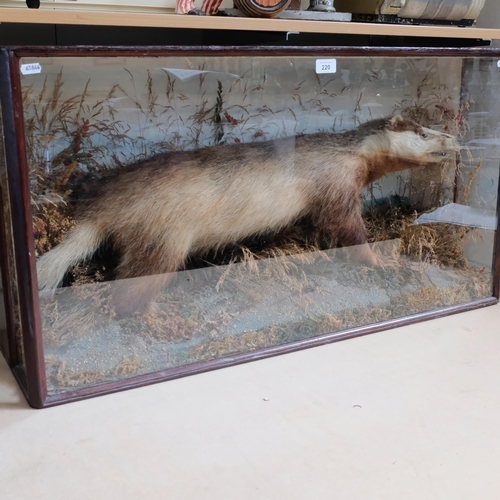 220 - TAXIDERMY - a badger on a naturalistic rock and wheat stand, mounted in glazed case, W94cm, H50cm, D... 