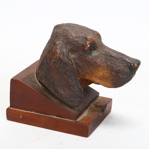 43 - A Black Forest carved and stained wood sculpture of a hound's head, with glass eyes, on block base, ... 