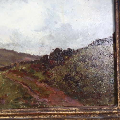 627 - Richard W West, A Bit On Little Sugar Loaf (Ireland), 1886, oil on panel, inscribed verso, 13cm x 21... 