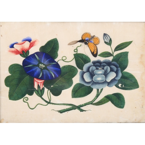 628 - 2 x 19th century Chinese watercolours on rice paper, largest 20cm x 32cm, framed (2)