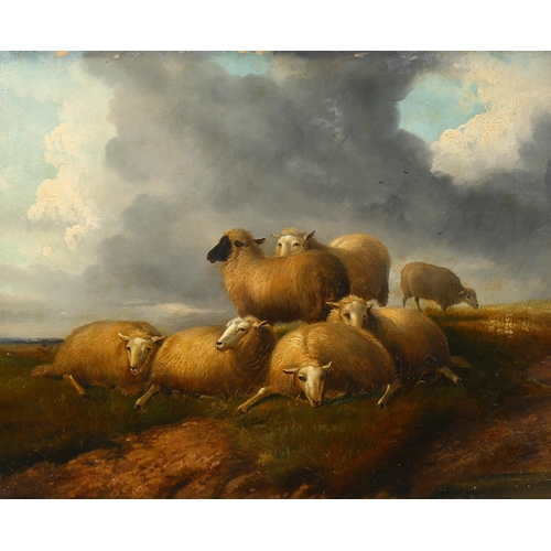 637 - Attributed Thomas Sidney Cooper (1803 - 1902), flock of sheep on hilltop, oil on canvas, signed, 40c... 