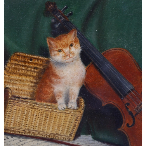 647 - 19th/20th century oil on board, cat and violin, indistinctly signed, 28cm x 29cm, framed and glazed