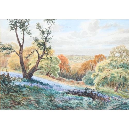 648 - B Ward, extensive landscape, watercolour, signed, 25cm x 35cm, framed