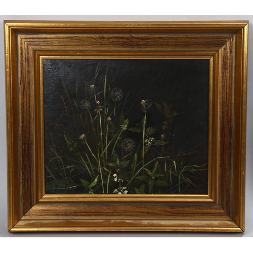 654 - Peter Newcombe, wild flowers, oil on canvas, signed and dated 1975, 26cm x 30cm, framed