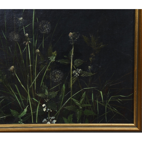 654 - Peter Newcombe, wild flowers, oil on canvas, signed and dated 1975, 26cm x 30cm, framed