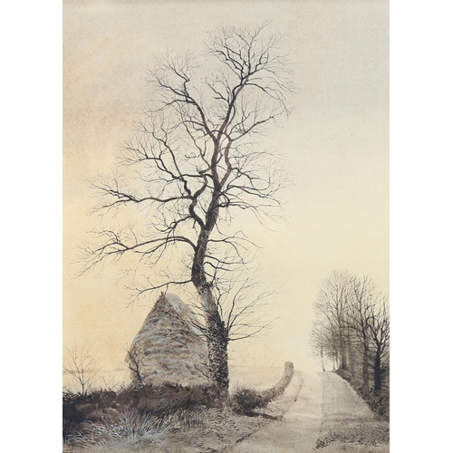 655 - Peter Newcombe, country lane, watercolour, signed and dated 1973, 32cm x 24cm, framed