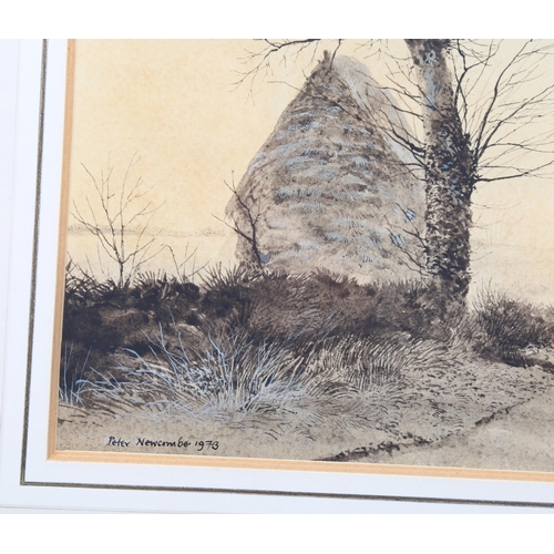 655 - Peter Newcombe, country lane, watercolour, signed and dated 1973, 32cm x 24cm, framed