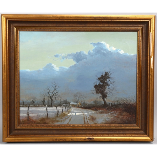 656 - Peter Newcombe, a country lane, oil on canvas, signed and dated 1974, 40cm x 50cm, framed