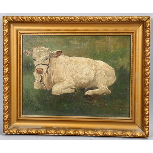 670 - Henri Rooke, calf, oil on wood panel, signed, 23cm x 30cm, framed