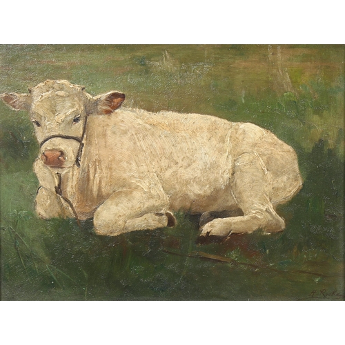 670 - Henri Rooke, calf, oil on wood panel, signed, 23cm x 30cm, framed