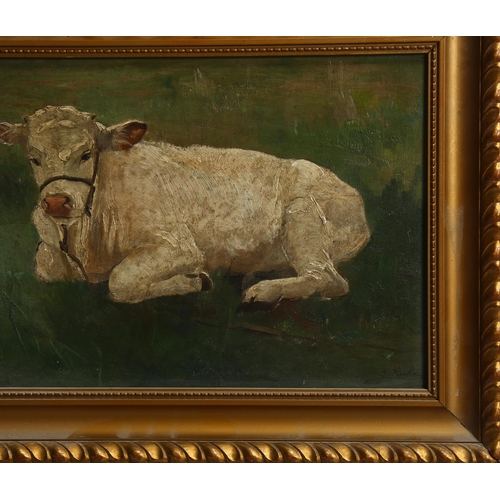 670 - Henri Rooke, calf, oil on wood panel, signed, 23cm x 30cm, framed