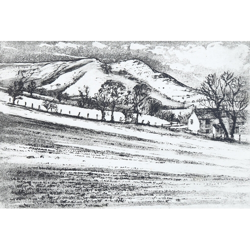 676 - Paterson?, Black Mountains hill farm, etching, indistinctly signed in pencil, no. 20/50, plate 11cm ... 