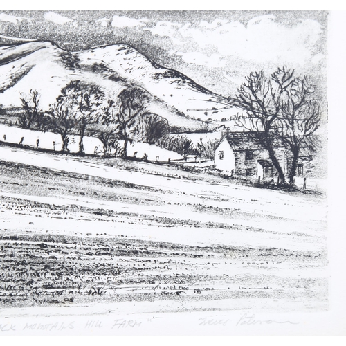 676 - Paterson?, Black Mountains hill farm, etching, indistinctly signed in pencil, no. 20/50, plate 11cm ... 