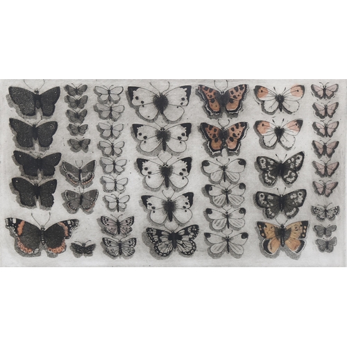 692 - Graham Clarke (born 1941), British butterflies, coloured etching, artist's proof, signed in pencil, ... 