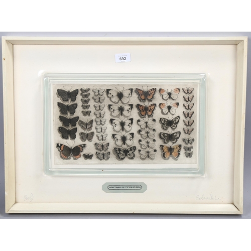 692 - Graham Clarke (born 1941), British butterflies, coloured etching, artist's proof, signed in pencil, ... 