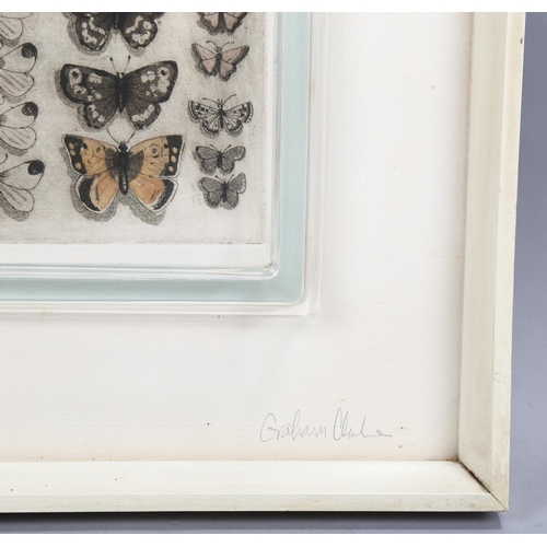 692 - Graham Clarke (born 1941), British butterflies, coloured etching, artist's proof, signed in pencil, ... 