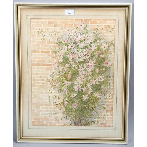 697 - E S Spencer, wall flowers, watercolours, signed, 47cm x 35cm, framed