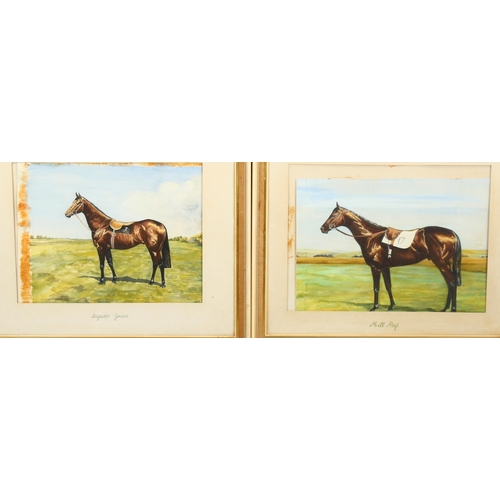 704 - Ann Hawkins, pair of studies of racehorses, watercolour, 32cm x 43cm, framed