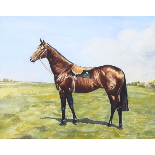 704 - Ann Hawkins, pair of studies of racehorses, watercolour, 32cm x 43cm, framed