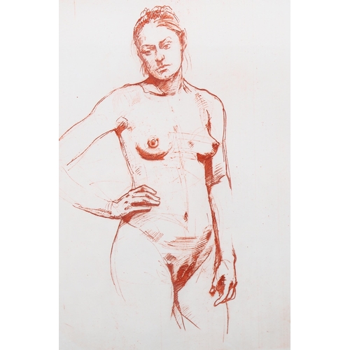 713 - Sepia trial proof etching, female nude, indistinctly signed in pencil, plate 32cm x 23cm, framed