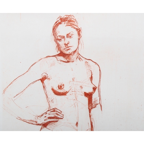 713 - Sepia trial proof etching, female nude, indistinctly signed in pencil, plate 32cm x 23cm, framed