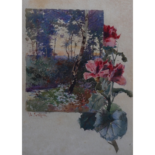 716 - Watercolour, circa 1900, woodland study, indistinctly signed, 30cm x 20cm, framed