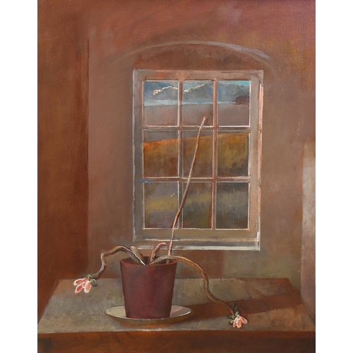 740 - Julian Gordon Mitchell, plant by a window, oil on canvas, 50cm x 40cm, framed