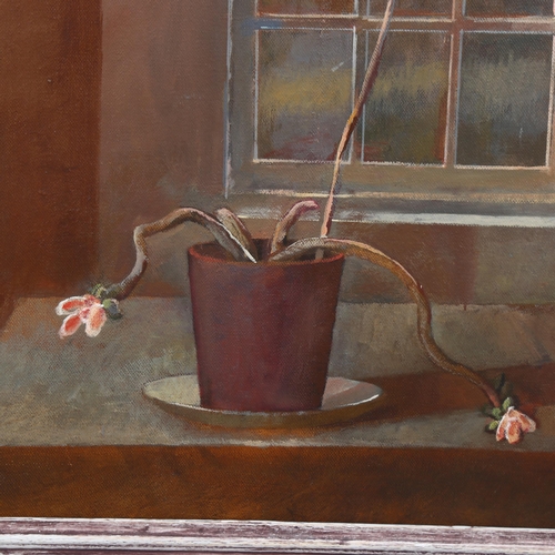 740 - Julian Gordon Mitchell, plant by a window, oil on canvas, 50cm x 40cm, framed