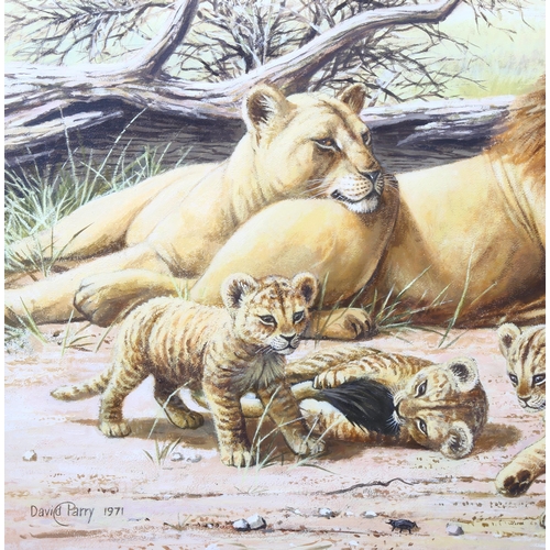 782 - David Parry (born 1942), study of lions and cubs, watercolour, 1971, 52cm x 74cm, framed