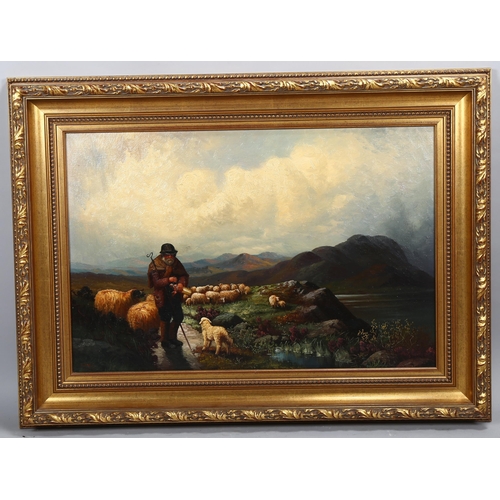 783 - B Davis, shepherd and sheep in the mountains, oil on canvas, signed, 50cm x 75cm, framed