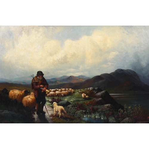 783 - B Davis, shepherd and sheep in the mountains, oil on canvas, signed, 50cm x 75cm, framed