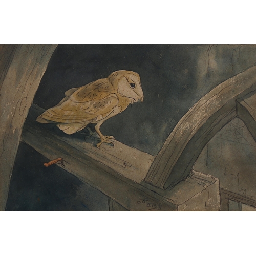 806 - Watercolour and ink, barn owl in rafters, indistinctly signed, 18cm x 28cm, framed