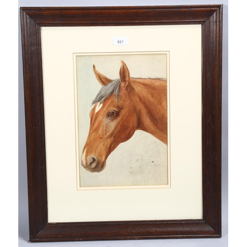 821 - Esme Tinne, portrait of a horse, watercolour, signed and dated 1917, 35cm x 24cm, framed