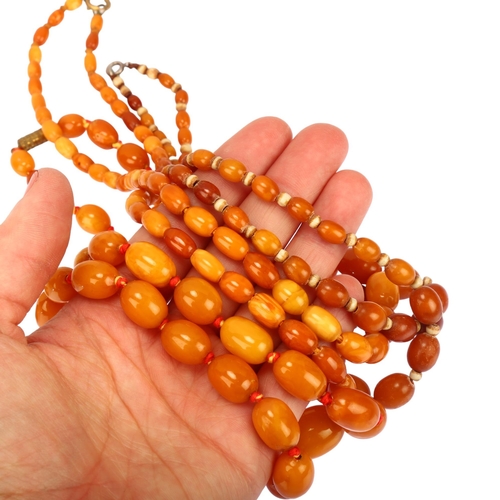 1129 - 3 single-strand graduated butterscotch amber bead necklaces, bead lengths 18.2 - 5.7mm, longest leng... 